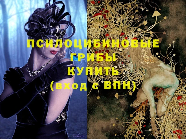 a pvp Алексеевка