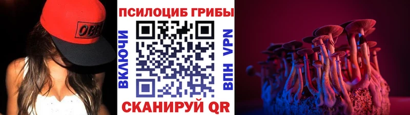 продажа наркотиков  Ветлуга  Псилоцибиновые грибы Psilocybe 